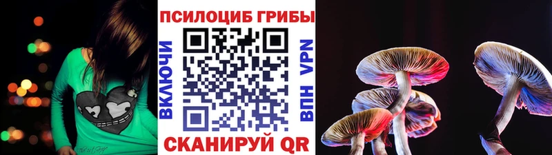 Псилоцибиновые грибы Magic Shrooms  Апрелевка 